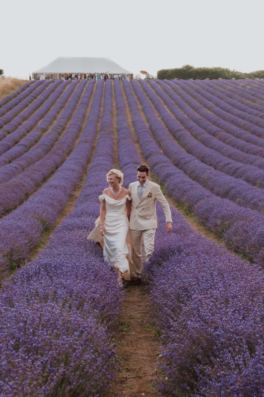 Gallery image 5: lordington-lavender