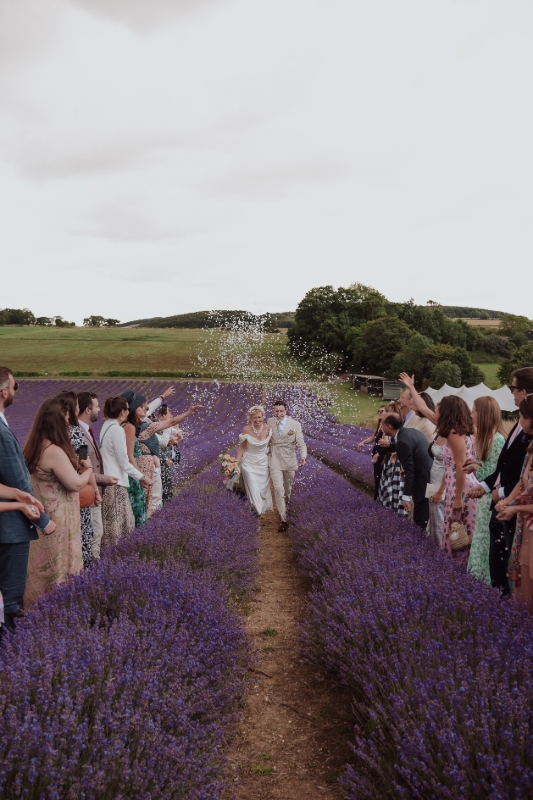 Gallery image 7: lordington-lavender