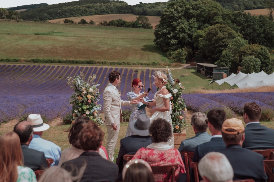 Gallery image 9: lordington-lavender