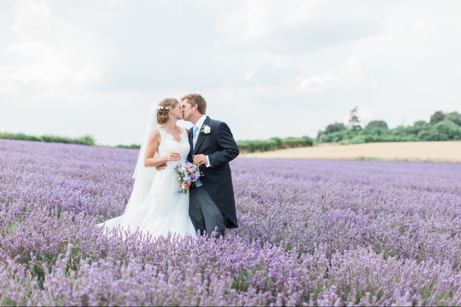 Gallery image 12: lordington-lavender