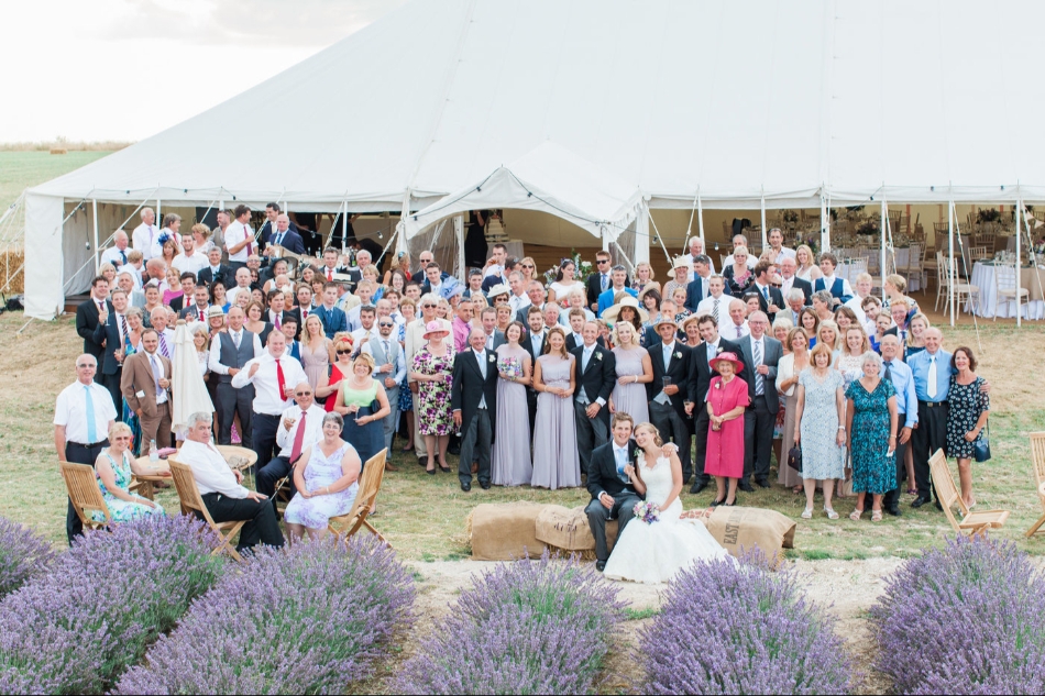 Gallery image 13: lordington-lavender
