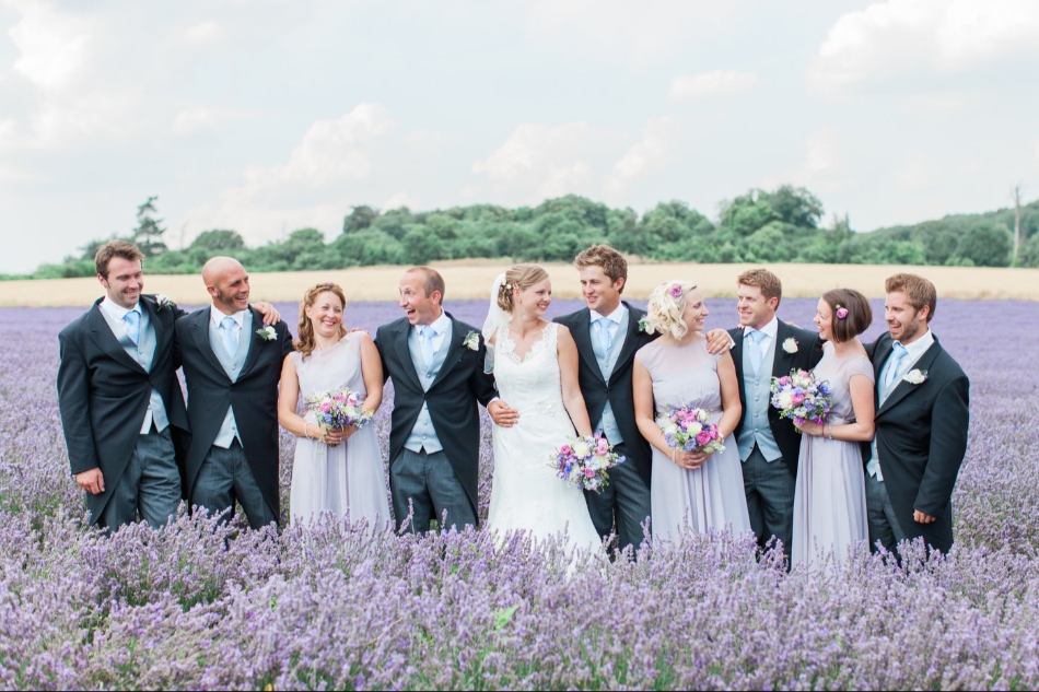 Gallery image 16: lordington-lavender