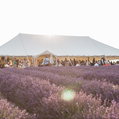 Lordington Lavender is a beautiful wedding venue in West Sussex