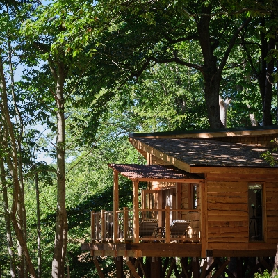 Enjoy a treetop mini-moon escape at Cowdray Estate