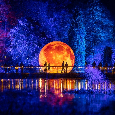 Wedding News: Tickets Now on Sale: Discover What’s New at Leonardslee Lights 2025