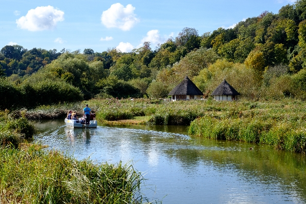Visitors welcome back at Arundel Wetland Centre in West Sussex from tomorrow: Image 1