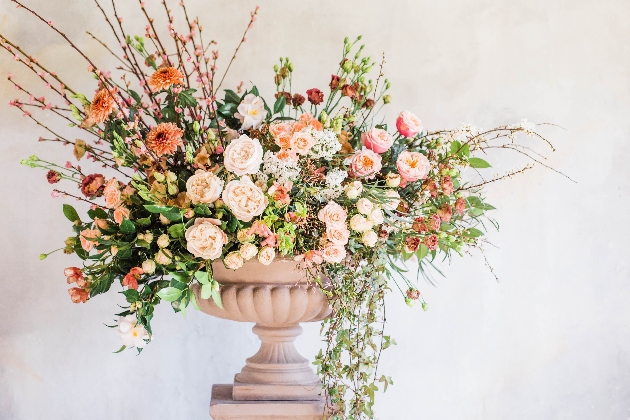 How to pick your W-day blooms…: Image 1