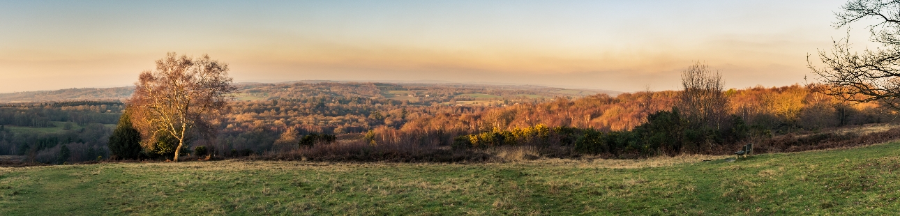 A landscape view from Ashdown Park Hotel & Country Club