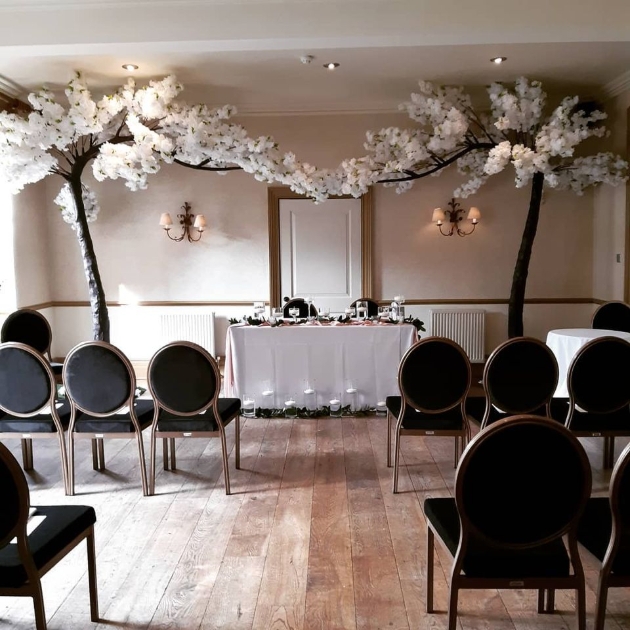 canopy tree standing next to ceremony table