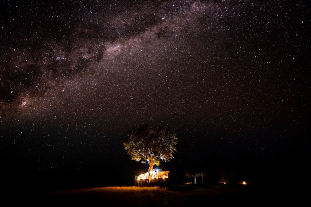 Camping in the wild at night under a stary sky