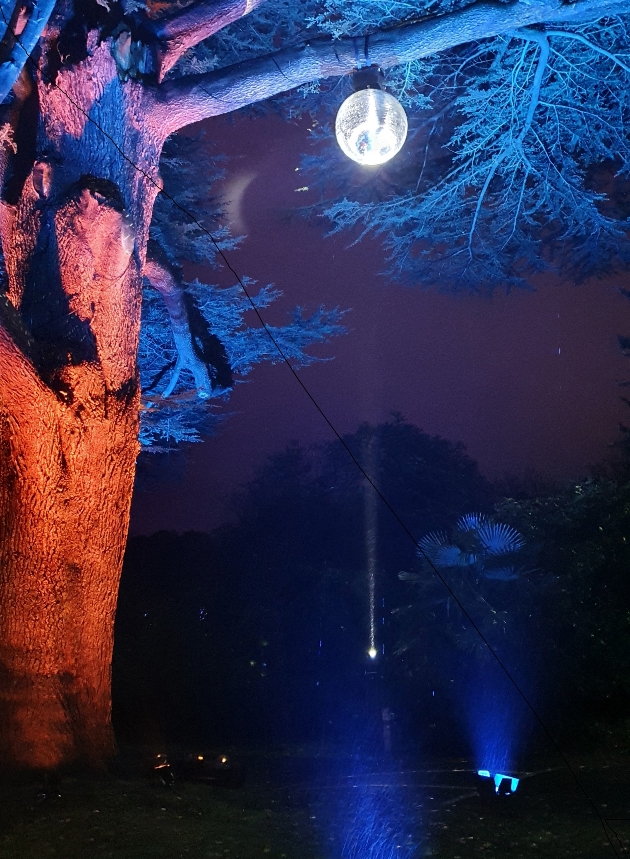 mirrorball tree at leonardslee illuminated