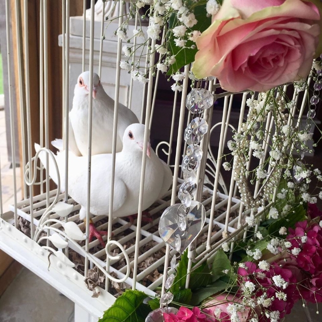 Two white doves in a cage decorated with pink flowers