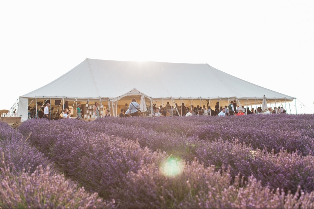 Lordington Lavender marquee