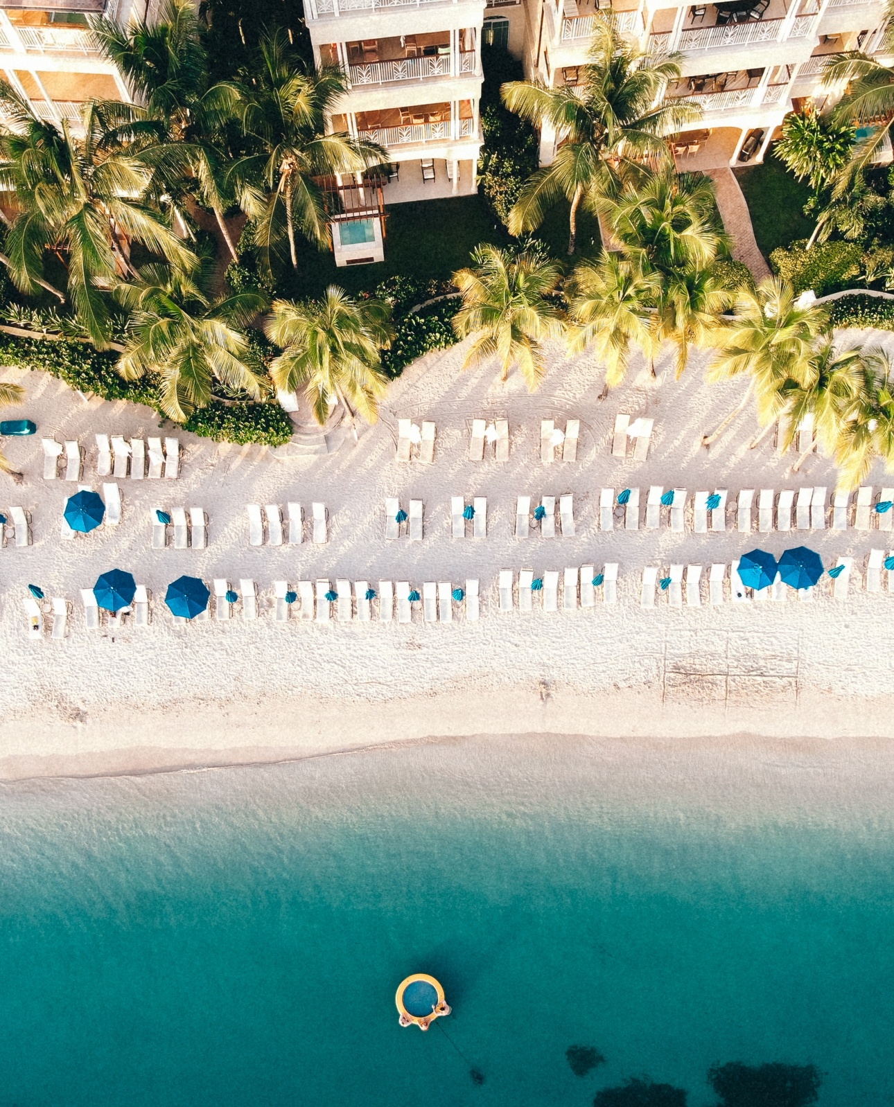 beachfront apartments surrounded by palm trees with sunloungers by the blue sea