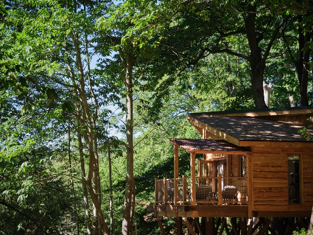 exterior of tree house escape at Cowdray Estate