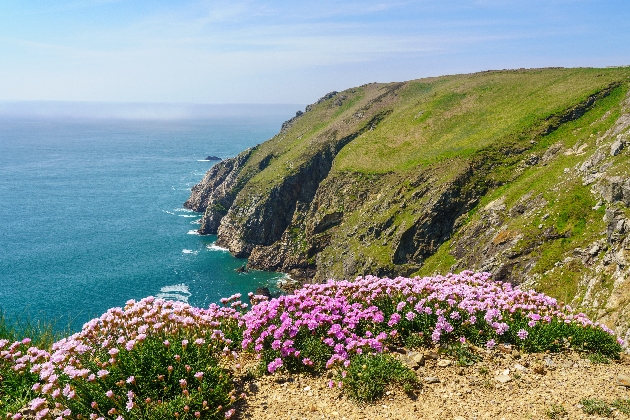 Rocky shoreline of the Island of Lundy off Devon