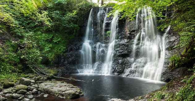 Waterfall with small water pond below surrounded by trees and lush vegetation