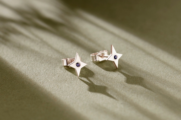 Posh Totty North Star Studs