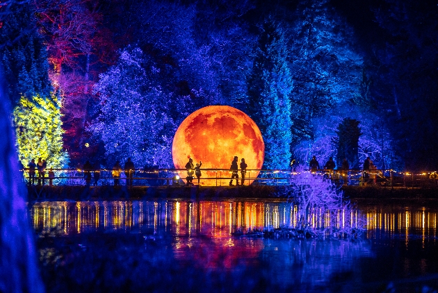 Christmas lights at leonardslee full moon across the lake