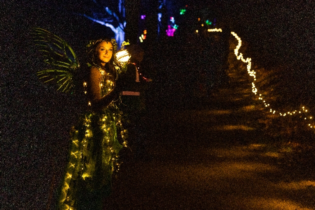 christmas lights experience at leonardslee fairy host
