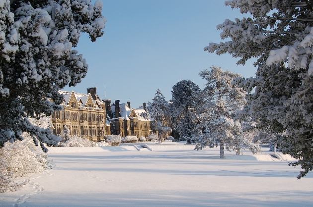 Ashdown Park in the snow
