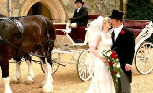 Image 1 from Maple Leaf Carriage Company