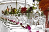 Thumbnail image 11 from Circa Events