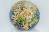 Thumbnail image 1 from Flower Preservation Workshop