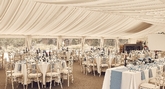 Thumbnail image 13 from Tilgate Park Weddings