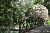 Thumbnail image 2 from Tilgate Park Weddings