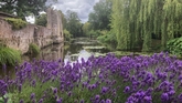 Thumbnail image 2 from Slaugham Place